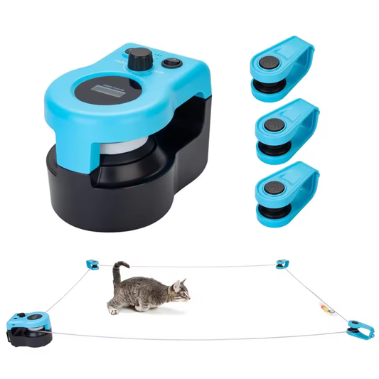 CorreGatos - PetAdvent™